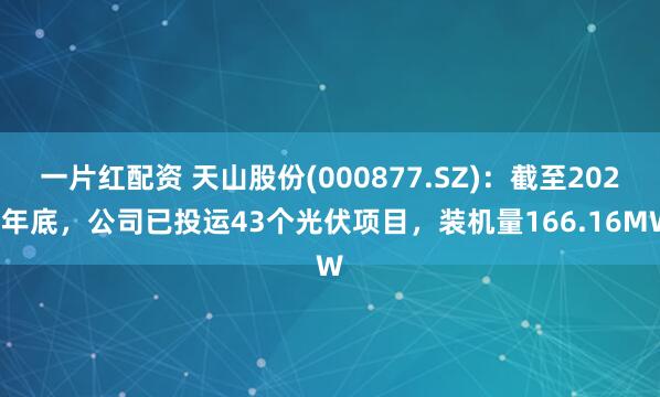 一片红配资 天山股份(000877.SZ)：截至2024年底，公司已投运43个光伏项目，装机量166.16MW