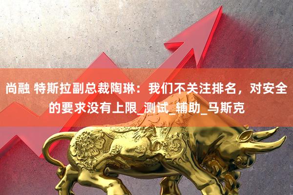 尚融 特斯拉副总裁陶琳：我们不关注排名，对安全的要求没有上限_测试_辅助_马斯克