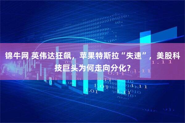 锦牛网 英伟达狂飙，苹果特斯拉“失速”，美股科技巨头为何走向分化？