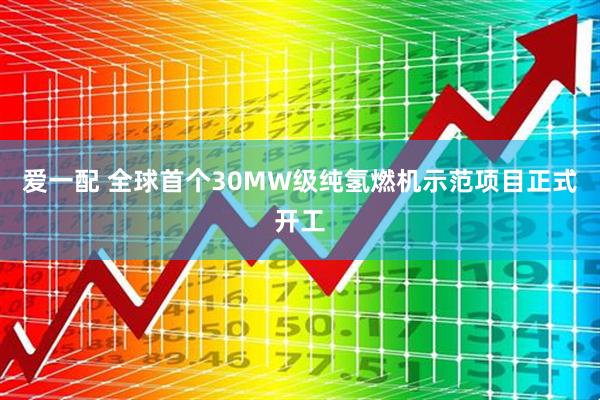 爱一配 全球首个30MW级纯氢燃机示范项目正式开工