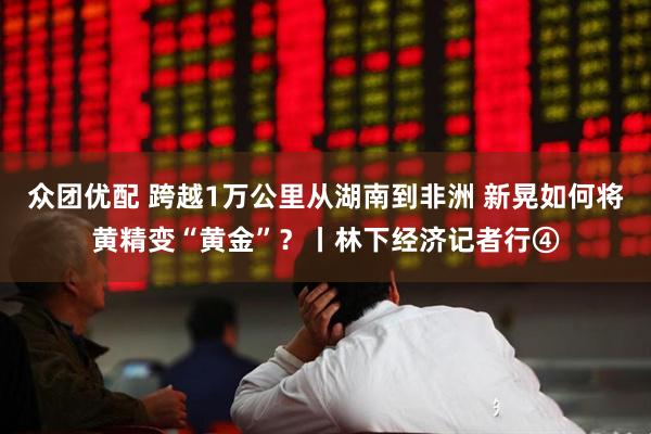 众团优配 跨越1万公里从湖南到非洲 新晃如何将黄精变“黄金”？丨林下经济记者行④