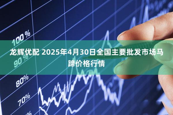 龙辉优配 2025年4月30日全国主要批发市场马蹄价格行情